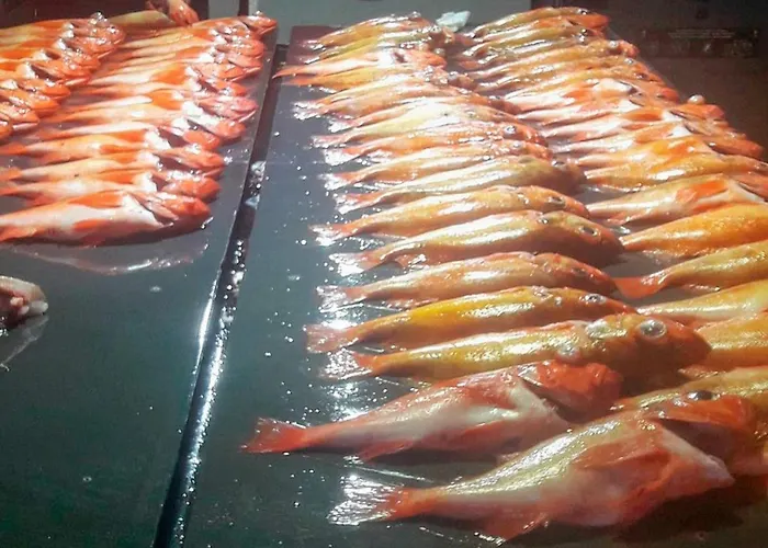 Nyaraló 8 Person In Leka-by Traum *